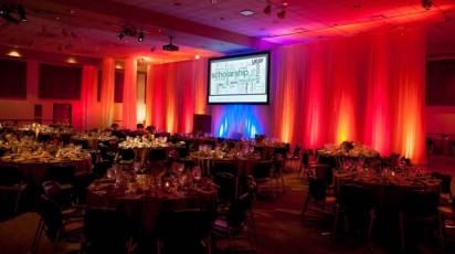 Supervel Drapery, uplighting