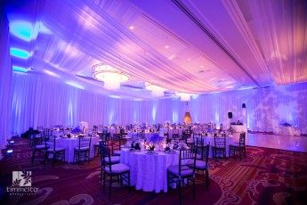 White Sheer and Bleached Muslin Wedding, Ceiling Treatment
