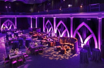 Black Encore at the Museum of Natural History.  Harry Potter Movie Premiere. Perimeter Uplighting